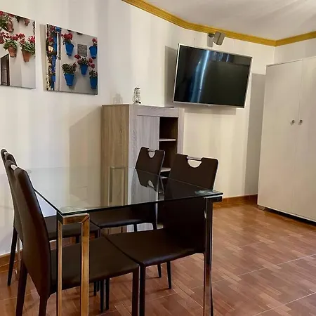 Apartamento Geysotur Patio De La Mezquita Córdova